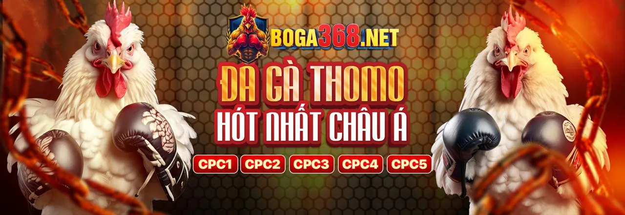 Dealer trực tiếp tại bàn chơi tg88ok